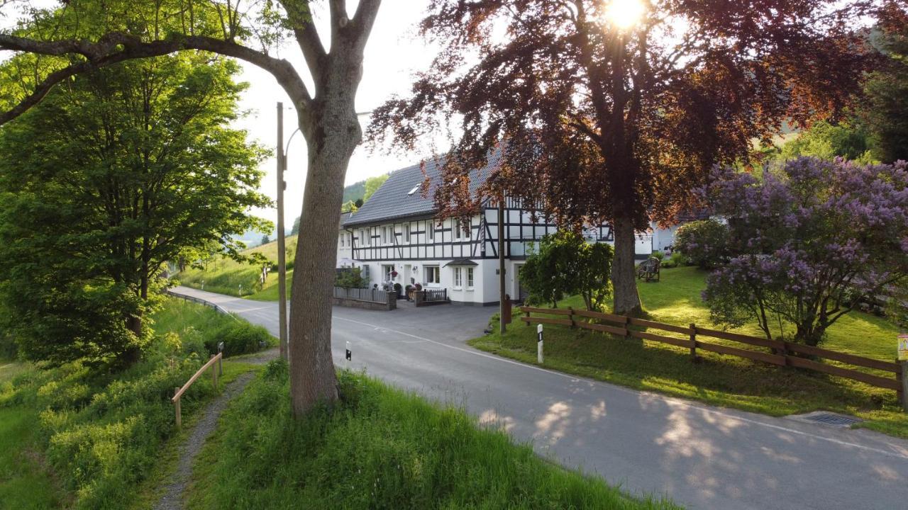 Ferienwohnung Kraehling 施马伦贝格 外观 照片